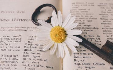 Uspe&scaron;na komunikacija in obvladovanje konfliktov