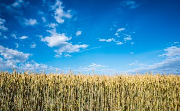 ZAČETNI TEČAJ BIOLO&Scaron;KO-DINAMIČNEGA  KMETOVANJA